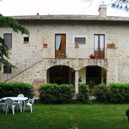 Hotel Agriturismo Il Podere Petrignano Exteriér fotografie