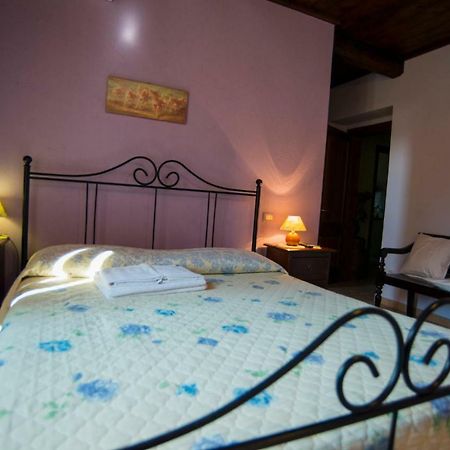 Hotel Agriturismo Il Podere Petrignano Exteriér fotografie