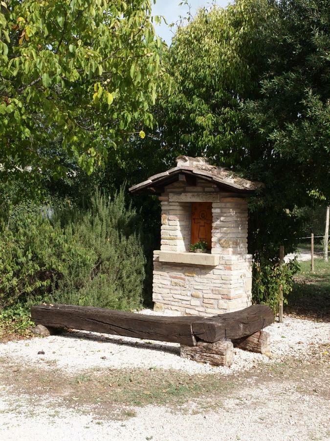 Hotel Agriturismo Il Podere Petrignano Exteriér fotografie