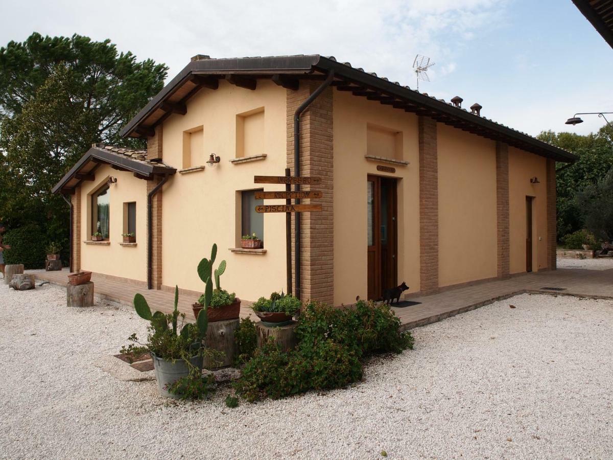 Hotel Agriturismo Il Podere Petrignano Exteriér fotografie