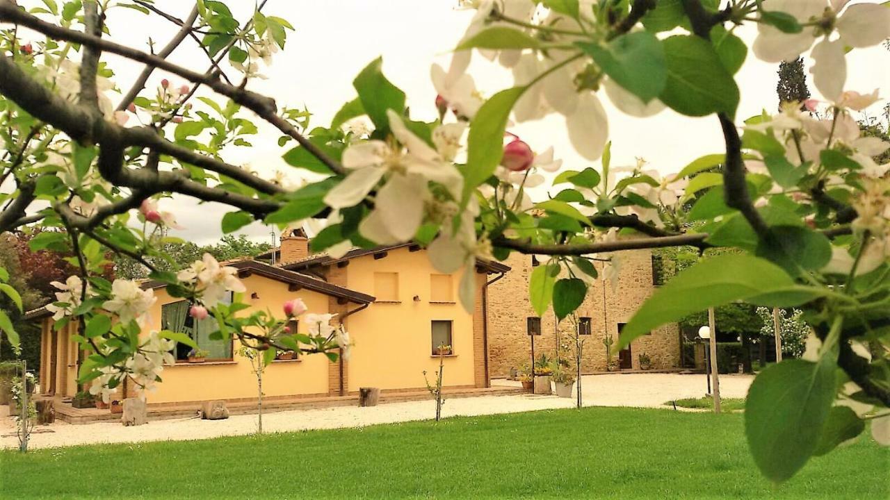 Hotel Agriturismo Il Podere Petrignano Exteriér fotografie