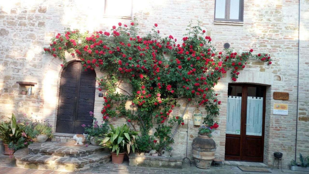 Hotel Agriturismo Il Podere Petrignano Exteriér fotografie