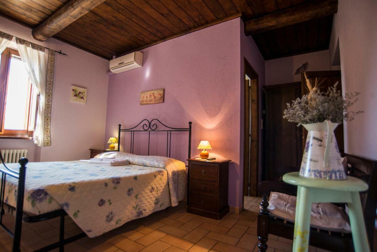 Hotel Agriturismo Il Podere Petrignano Exteriér fotografie