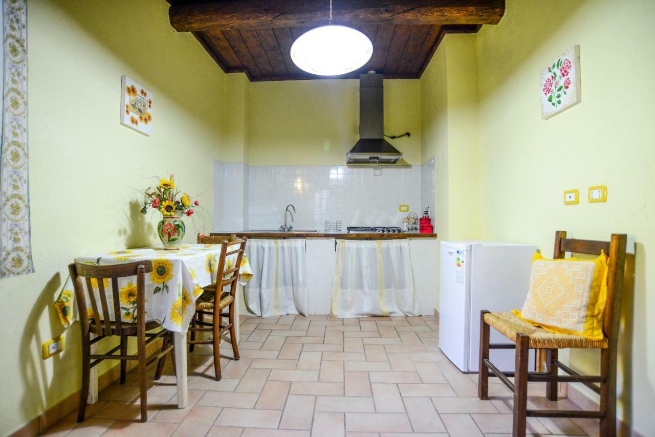 Hotel Agriturismo Il Podere Petrignano Exteriér fotografie