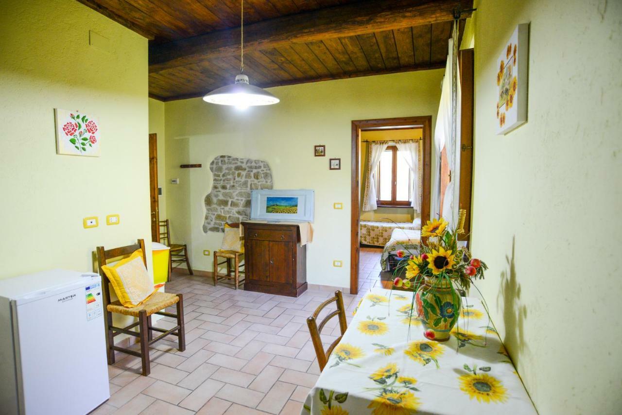 Hotel Agriturismo Il Podere Petrignano Exteriér fotografie